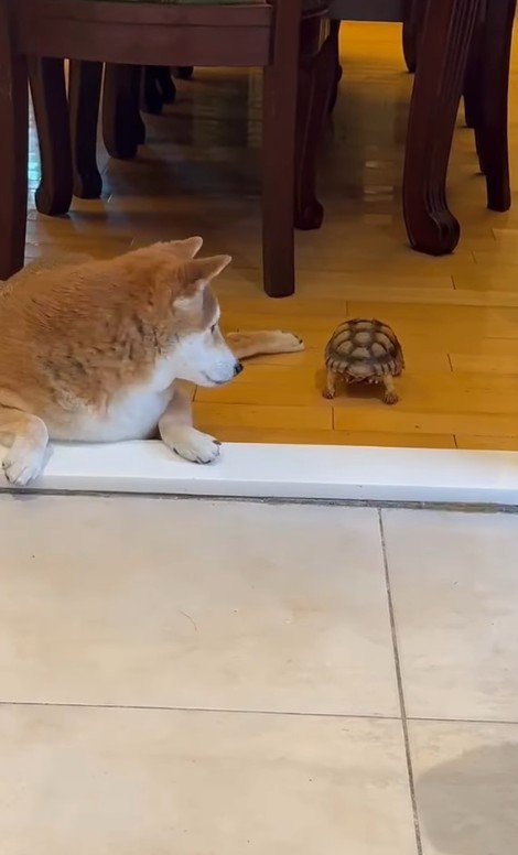 気にかけてくれる姿にほっこり