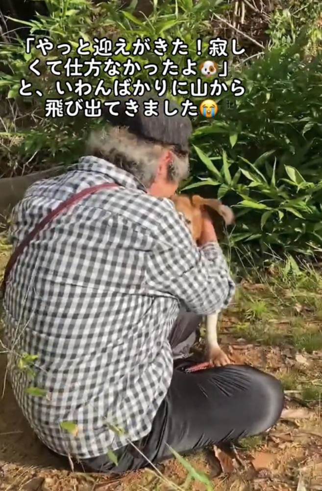 犬を撫でるおばあちゃん
