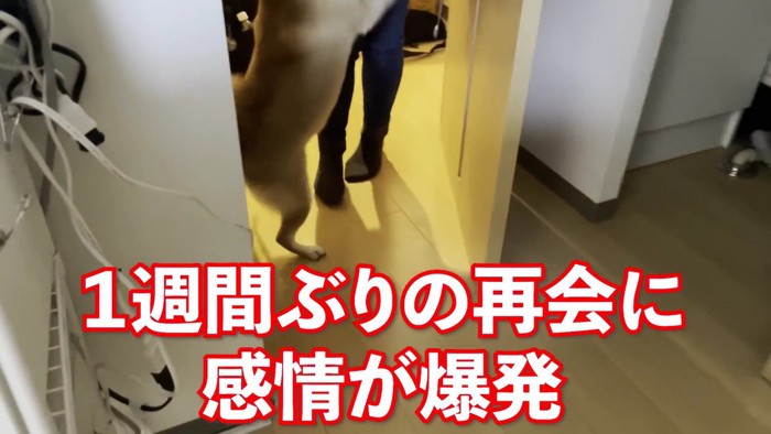 1週間ぶりの再会！
