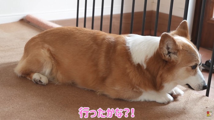 ちゃんと行ったか、耳を澄まして確認