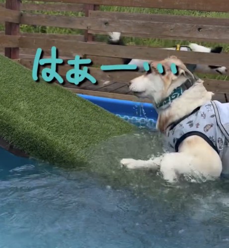 無事に生還