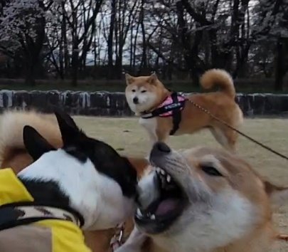 年代別