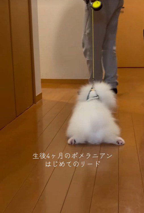 ほふく前進!