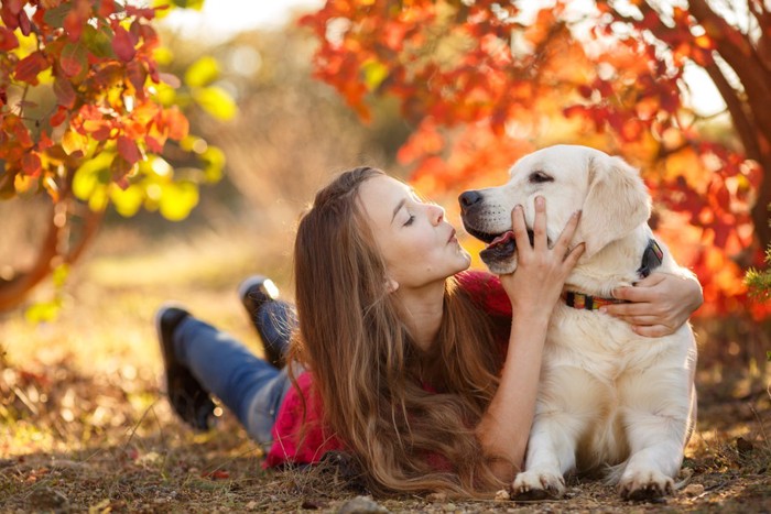 紅葉と女性と犬