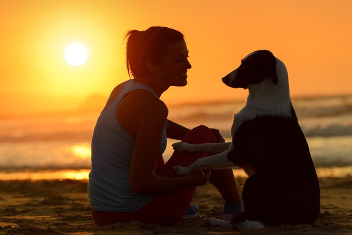 犬の気持ち