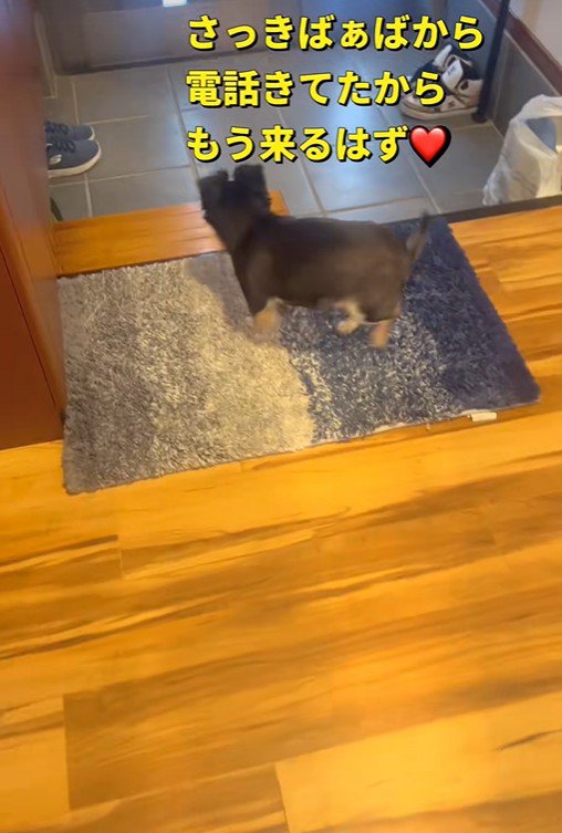 チビくんが玄関へ
