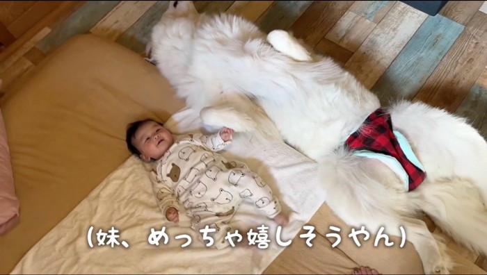 仰向けで寝る犬と赤ちゃん