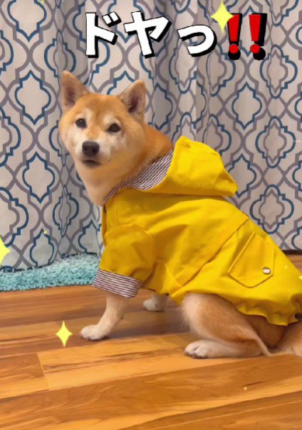 新しいレインコート