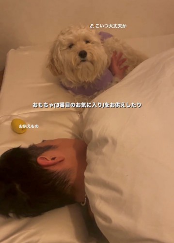 布団のそばでじっと見守る犬