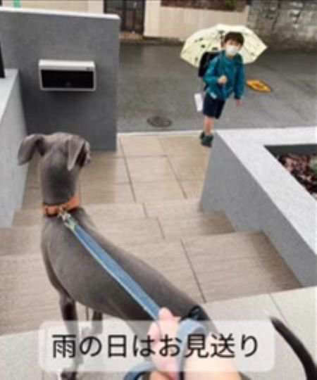 デクくんと男の子の思い出7