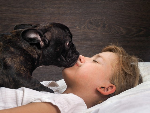 犬にキス