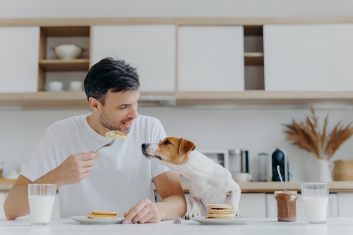 食事中の飼い主さんを見つめる犬