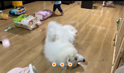 仰向けになってゴロン