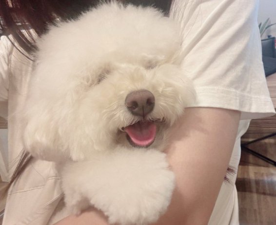 抱っこ