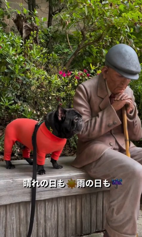 雨の日も風の日もおじいちゃんの所へ