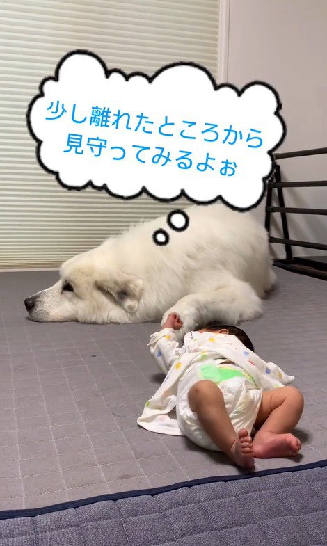 マハロくんと赤ちゃん⑩