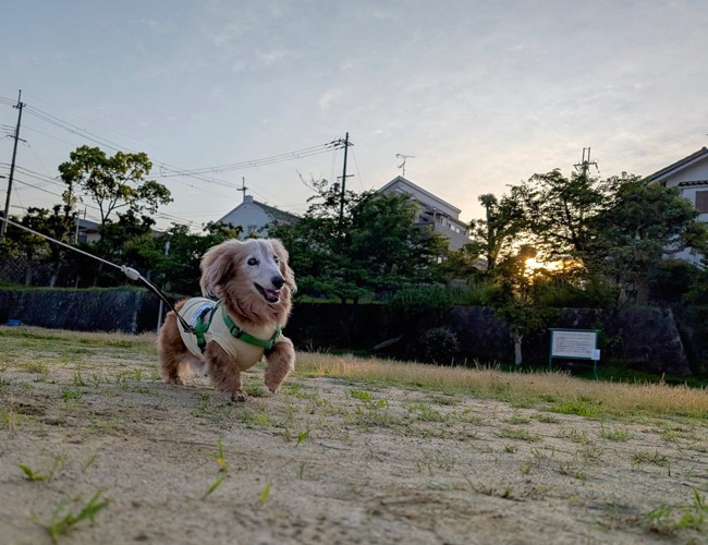 カッコいい