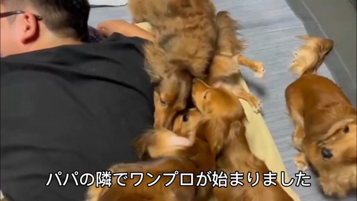 ワンプロ開始！