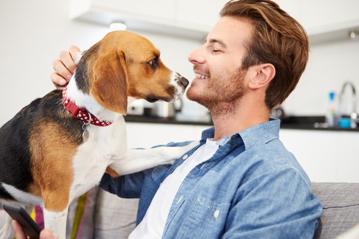 男性の方に手を置く犬