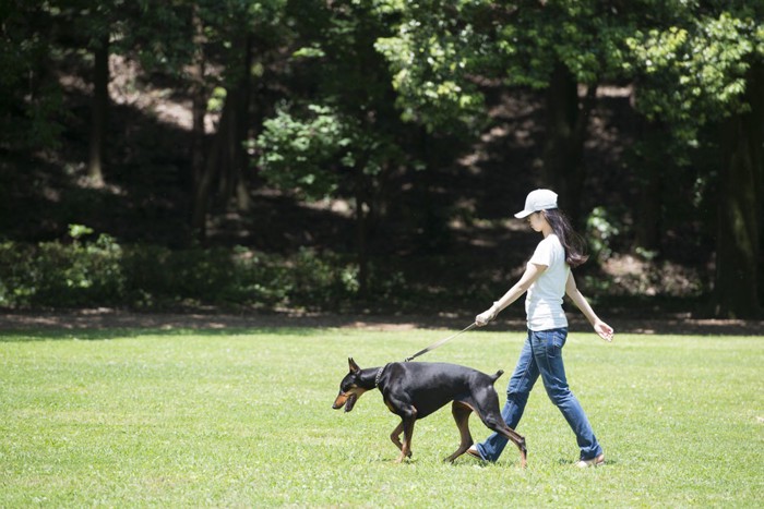 犬と散歩する女性