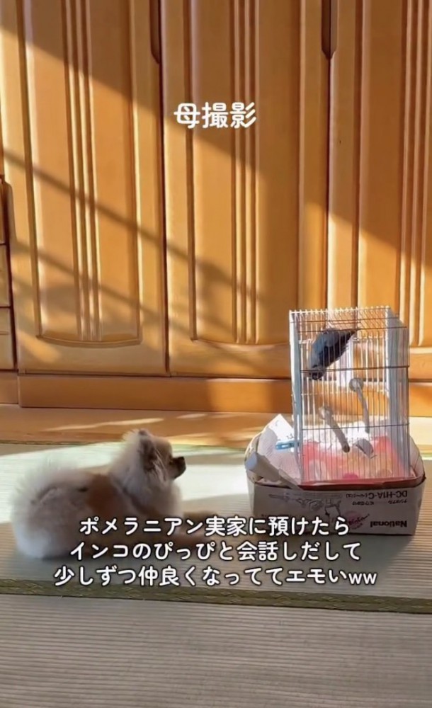 お互い気になってます