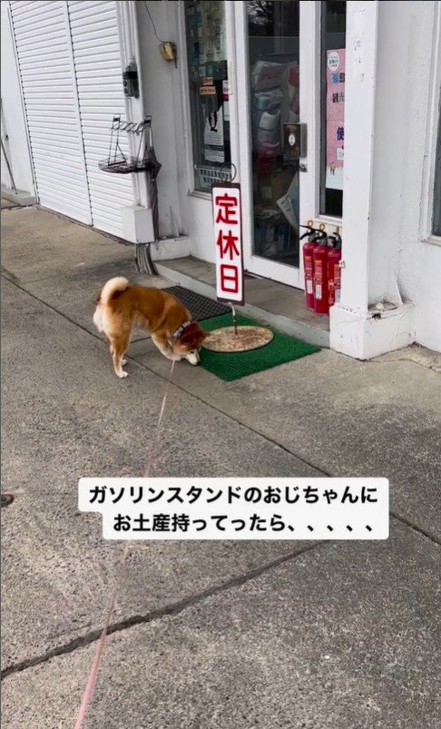 ガソリンスタンドを訪れたハナちゃん7