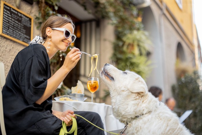 パスタを犬に与える女性