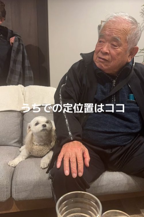 おじいちゃんの横に座る小型犬