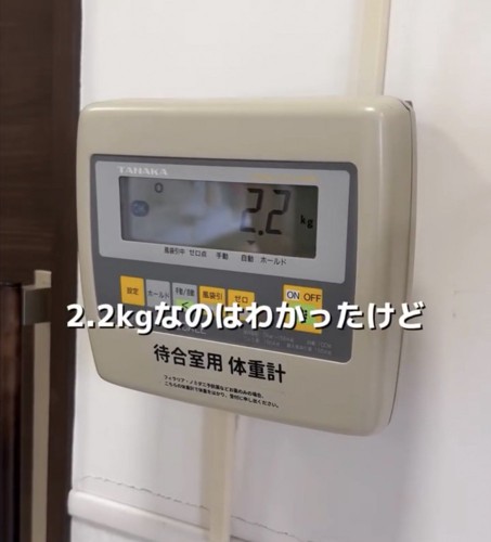 2.2kgを示す体重計