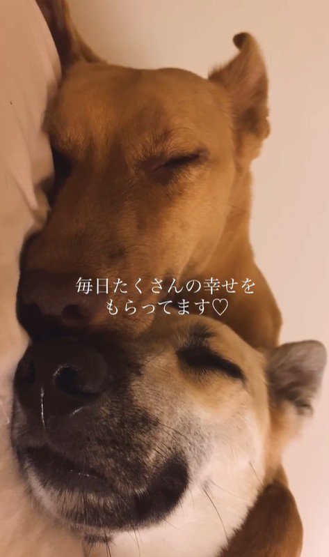 JayくんとJohnnyくん2