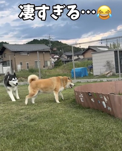 もはや達人の領域