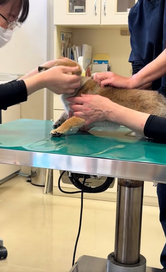 エールが白熱するスタッフさん