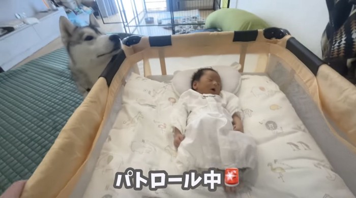 しっかり見守ります！