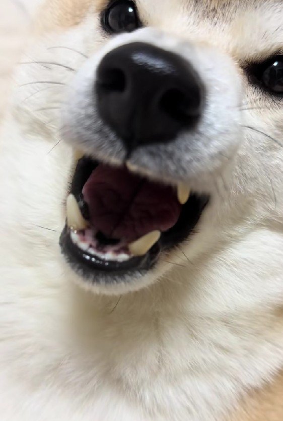 「あー」と声を出してみたら…