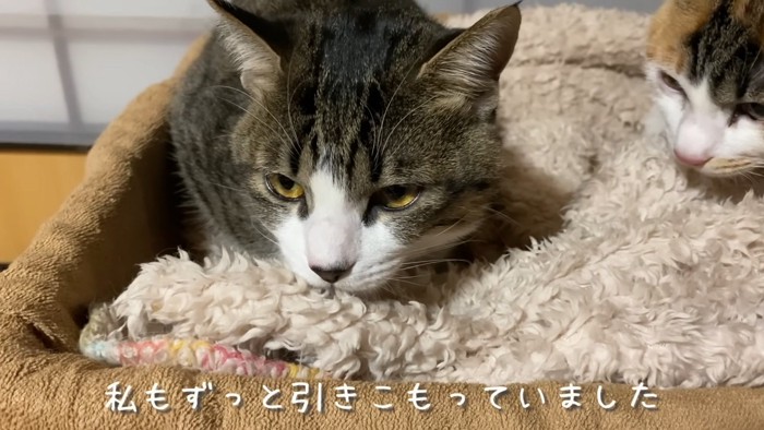 飼い主さん自身も引きこもってしまった