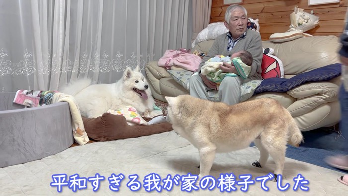 幸せな家族のひとときでした