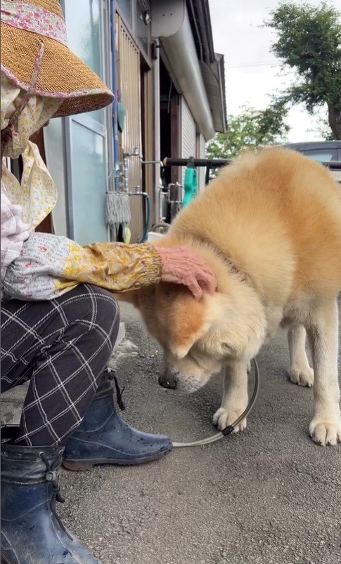 まる君とおばあちゃん