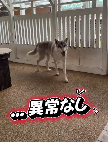 「今日も異常ありません！」