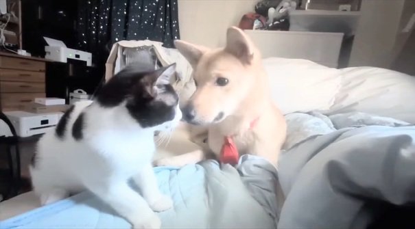 距離が縮まってきたふたり