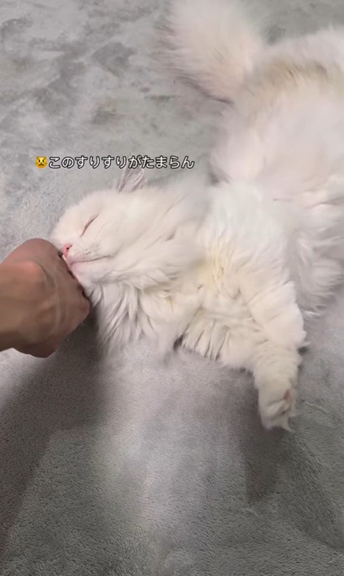 そあまるちゃんにキスしようとした時の反応