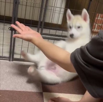 バランスが…