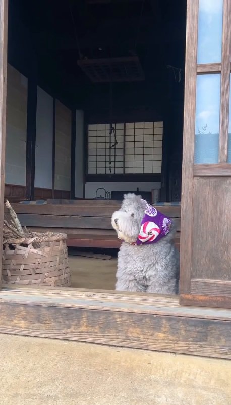 畑のお婆ちゃんかな？