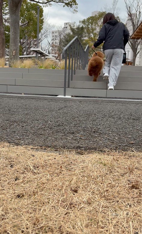 スタスタ登っています！