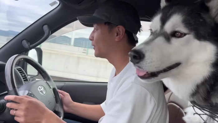 車の中でワガママが止まらない