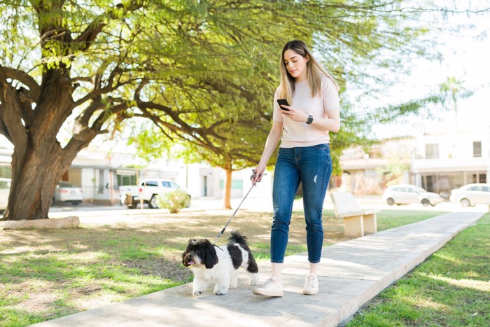 スマホを見ながら散歩する女性