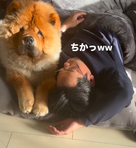 眠っている男性の隣に寄り添う犬