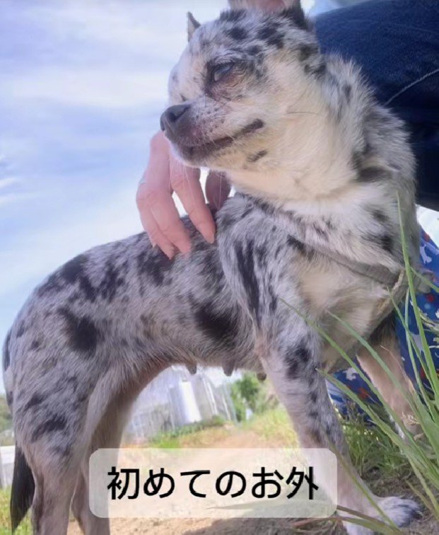 少しずつ外へ