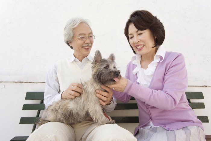 犬を可愛がるシニア夫婦