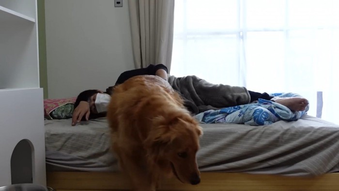 体調不良時のよもぎちゃん＆だいず君の対応9