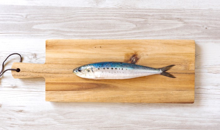 まな板の上に置かれた1匹のいわし
